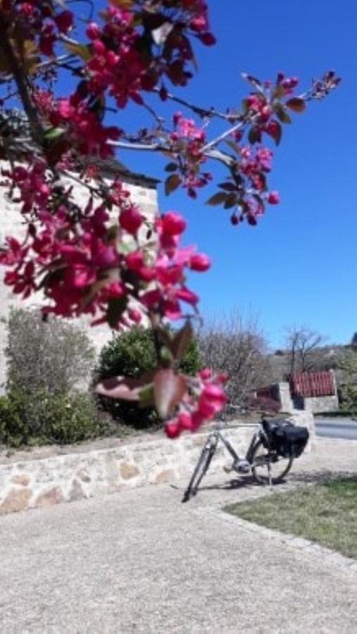 Bed and Breakfast Le Parc Des 4 Saisons Corrèze Exterior foto